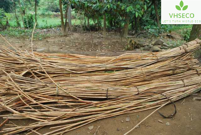 Men's and Women's Natural Rattan Folding Walking Stick, Lightweight, Handmade in Vietnam