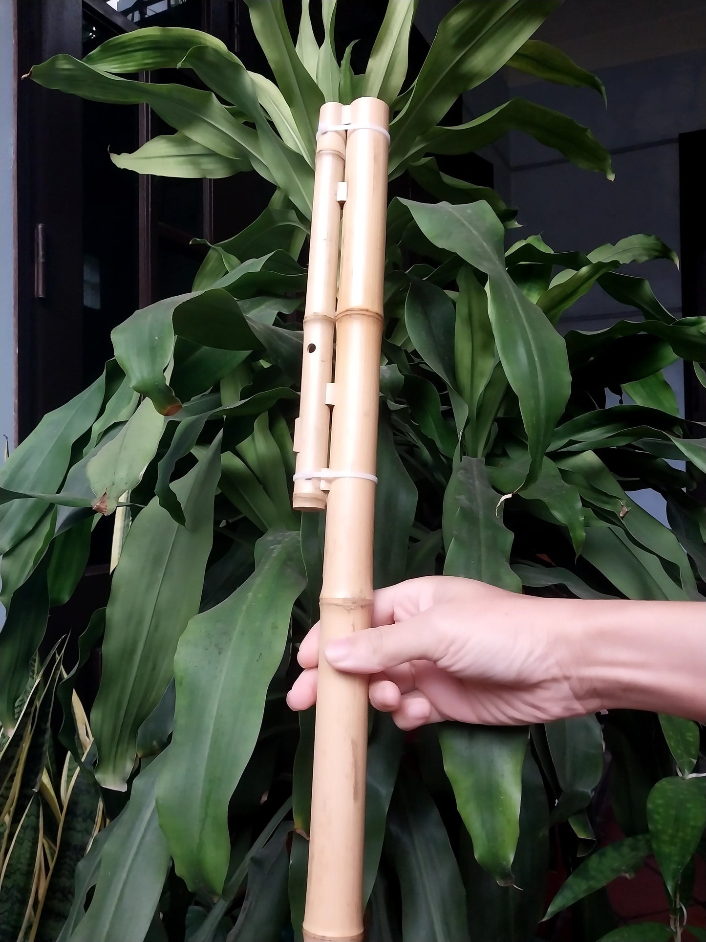 Double Cat Flute Sao Meo H'Mong Vietnamese Handmade Bamboo Musical Instrument