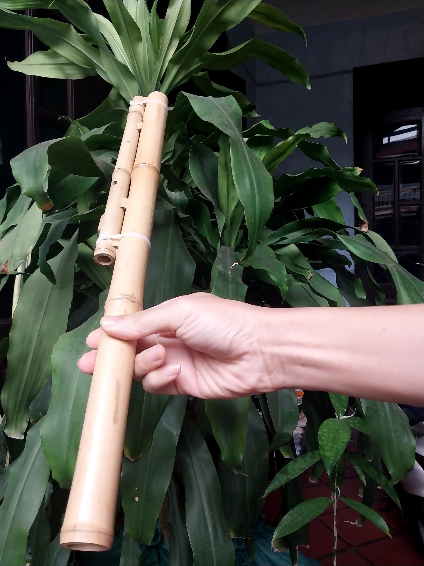 Double Cat Flute Sao Meo H'Mong Vietnamese Handmade Bamboo Musical Instrument