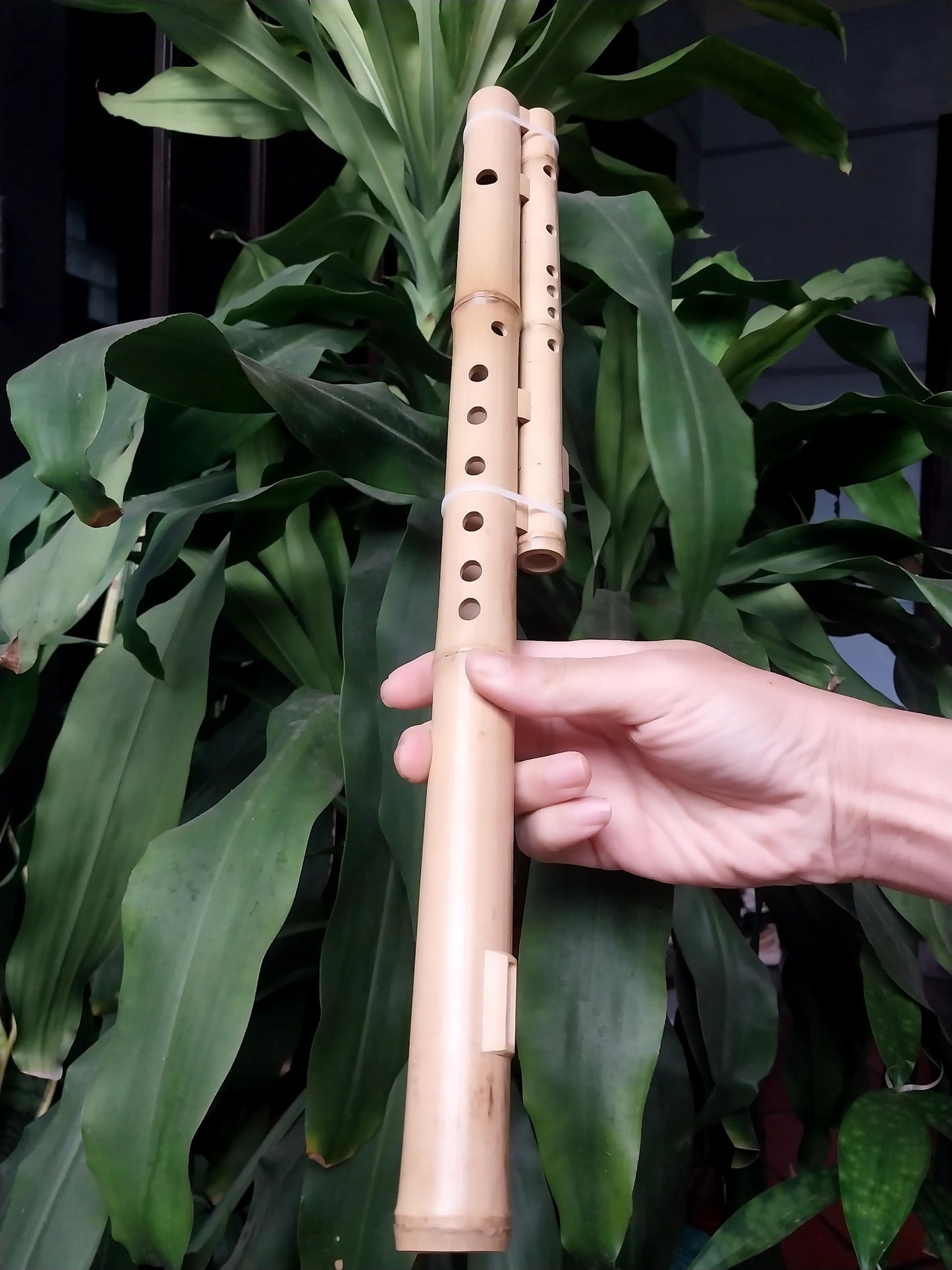 Double Cat Flute Sao Meo H'Mong Vietnamese Handmade Bamboo Musical Instrument