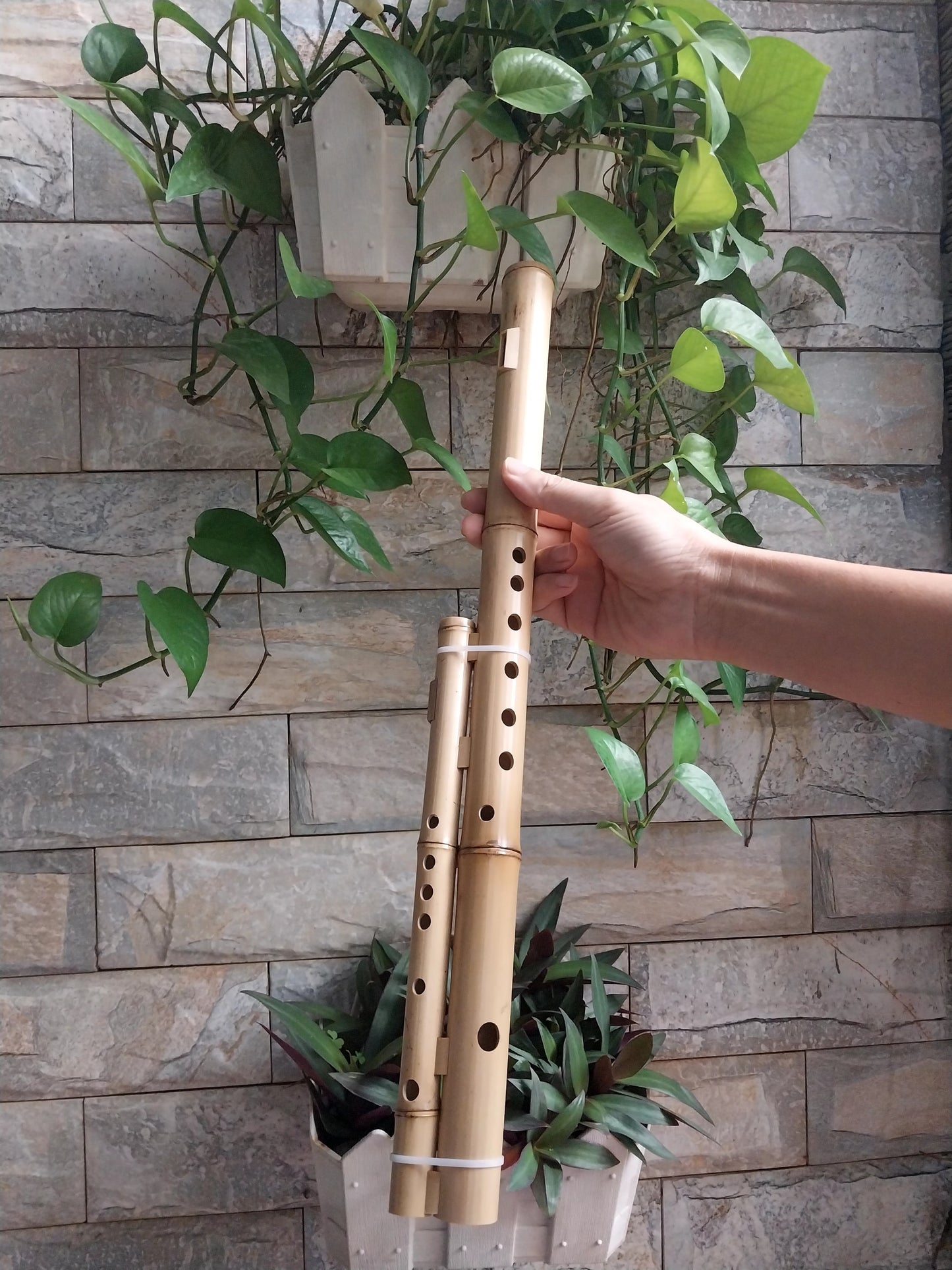 Double Cat Flute Sao Meo H'Mong Vietnamese Handmade Bamboo Musical Instrument